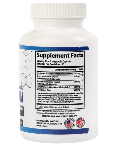 Functional Mushroom: Focus and Mental Clarity